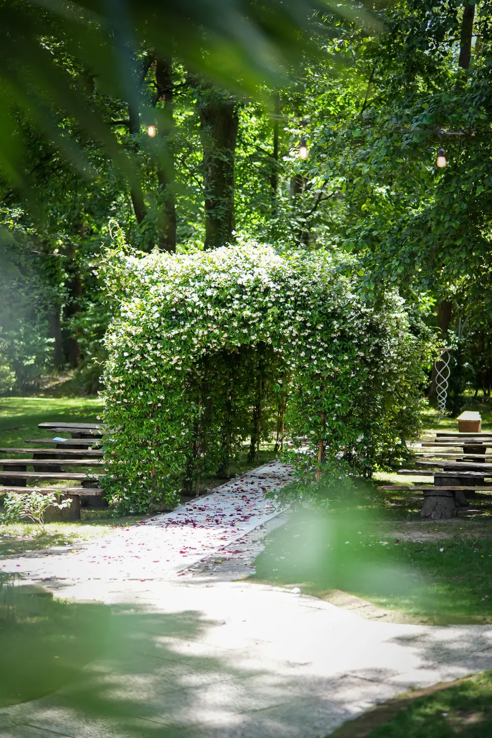 Arco fiorito e petali, nel bosco