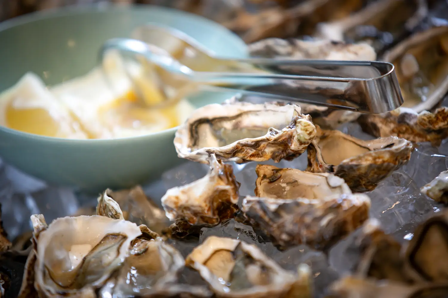 Ostriche su ghiaccio con ciotola di limone