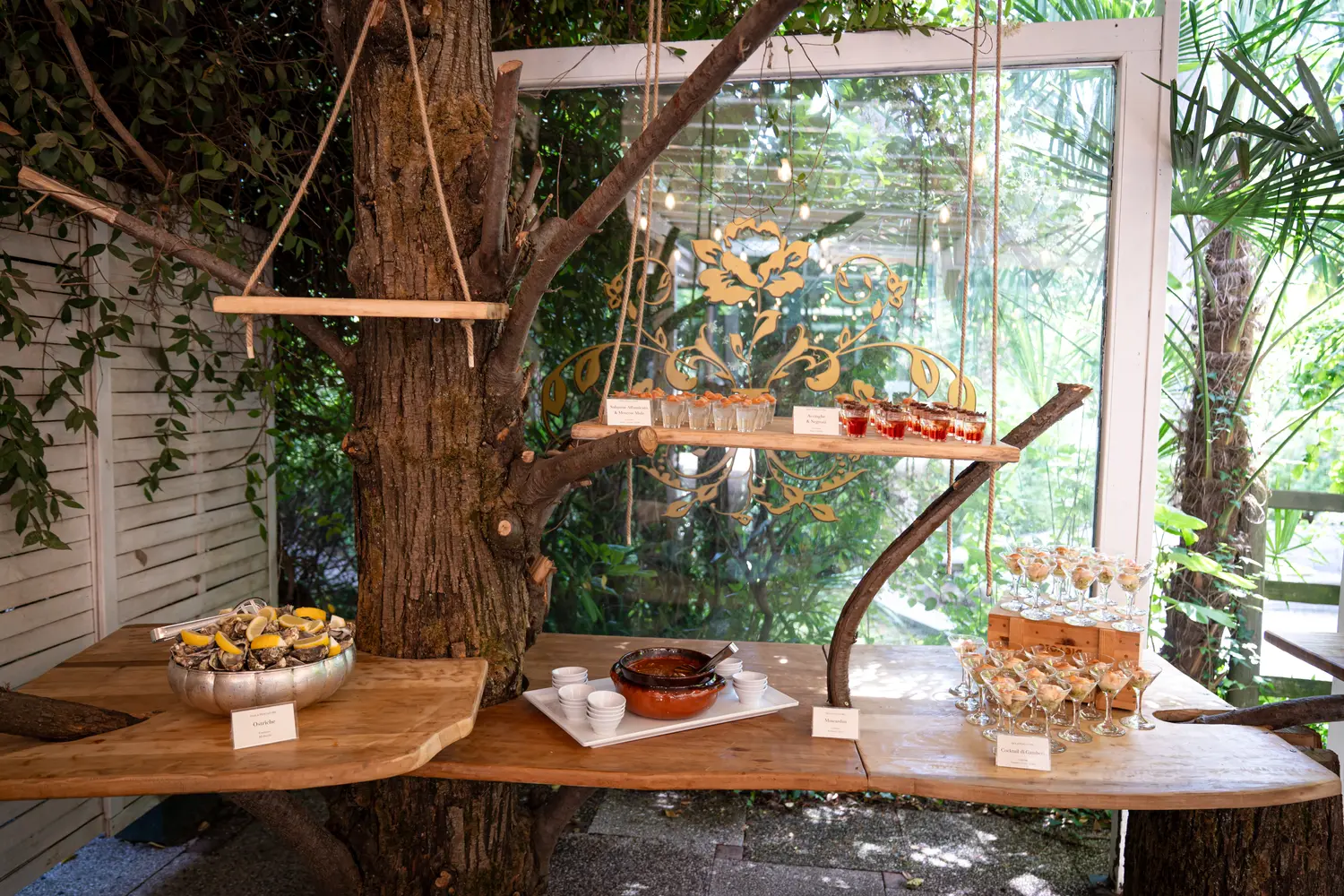 Buffet attorno al tronco di giorno: ostriche al limone, moscardini in coccio e coppe di gamberi